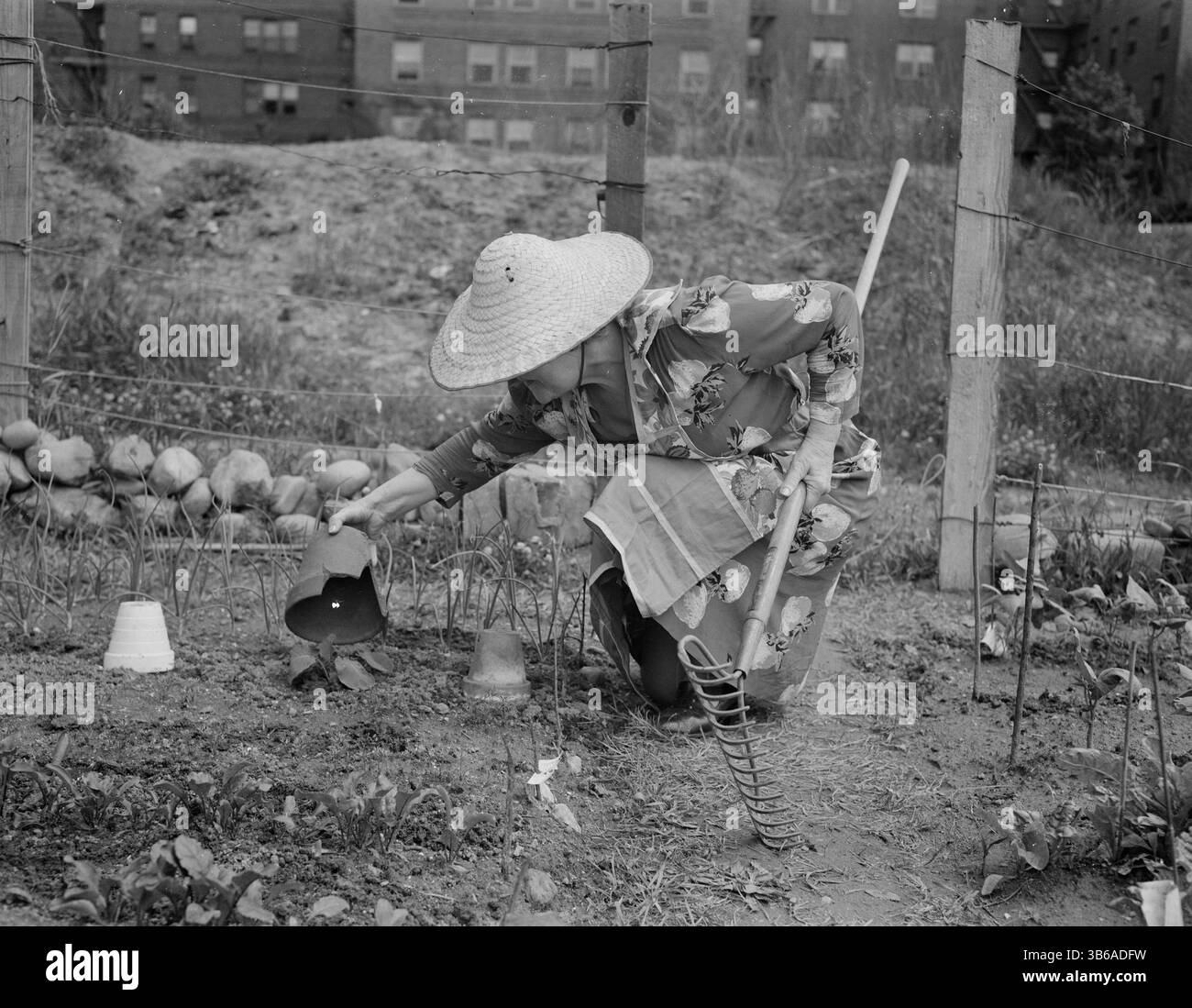 New York, New York. Vittorie giardinaggio a Forest Hills, Queens, 1944. Foto Stock