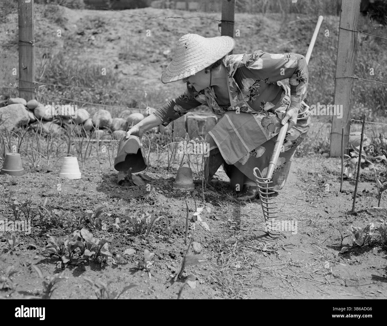 New York, New York. Vittorie giardinaggio a Forest Hills, Queens, 1944. Foto Stock