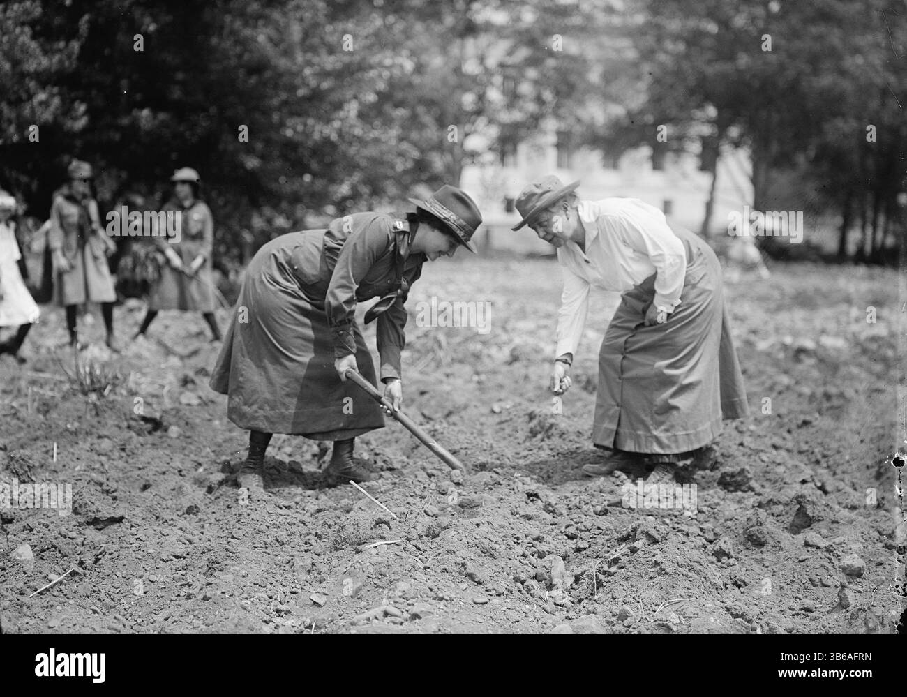 Girl Scouts che giardinano al D.A.R., 1917. Foto Stock
