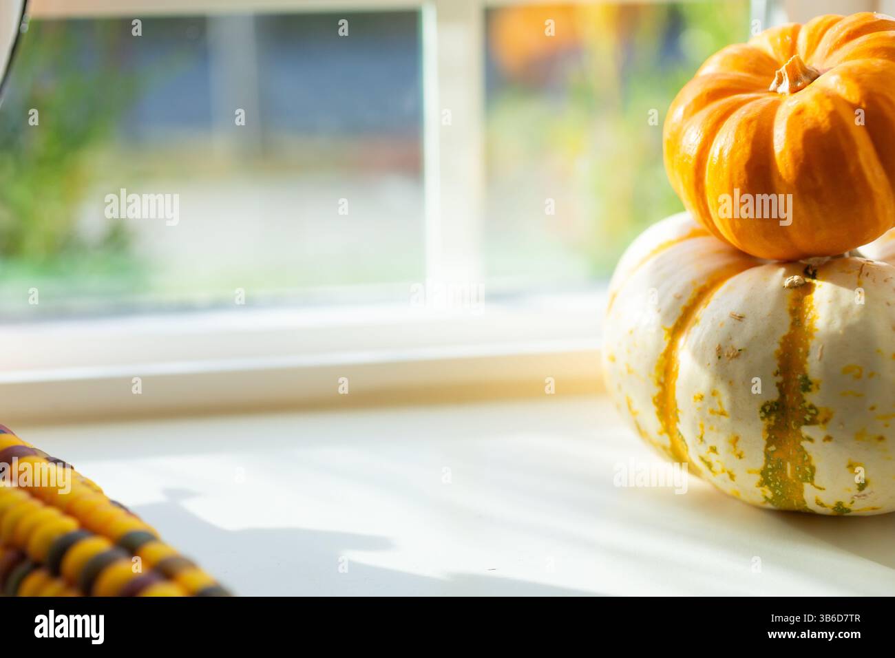 Una vista del decor delle feste autunnali, caratterizzato da zucche e mais degli Indiani d'America sul pannello della finestra. Foto Stock