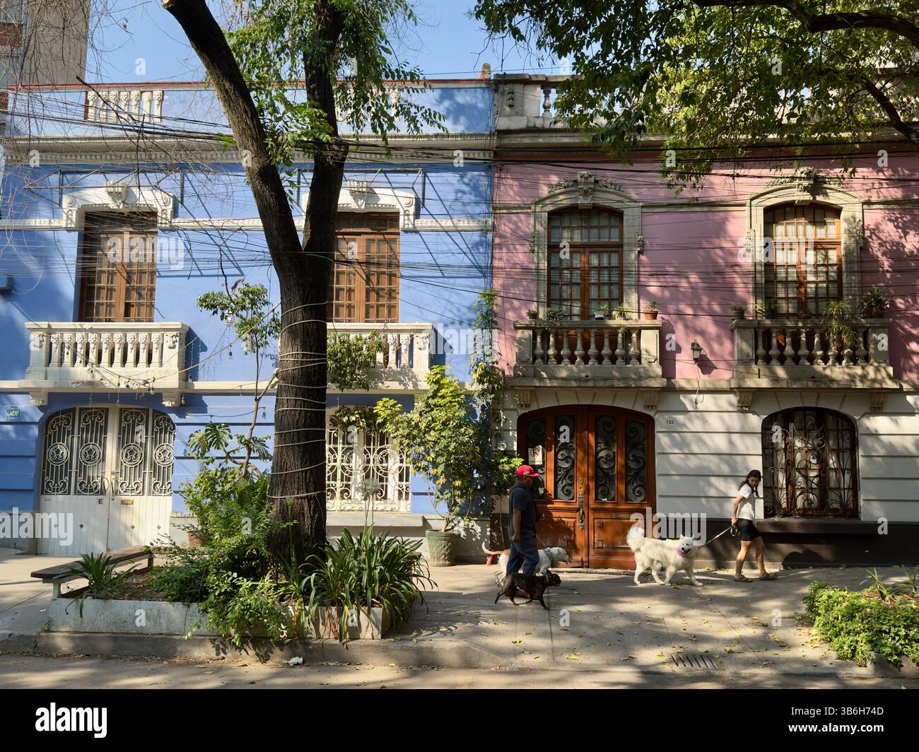 Case eleganti in stile coloniale, quartiere di Condesa, città del messico, Messico Foto Stock