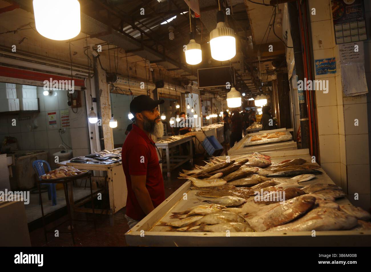 28 aprile 2024, Bushehr, Iran: Un cliente iraniano guarda il pesce al mercato del pesce nel porto di Bushehr, nel sud dell'Iran. Il porto di Bushehr è una delle aree industriali e dei centri economici più importanti dell'Iran, in base alle sue specifiche situazioni di commercio, importazione ed esportazione, alcune grandi società petrolchimiche e alcuni grandi progetti industriali realizzati a Bushehr, come la centrale nucleare di Bushehr e le navi. Bushehr è a 12 km dal sito della centrale nucleare di Bushehr. La centrale nucleare di Bushehr (NPP) in Iran è stata costruita utilizzando la tecnologia russa. E' il primo faci civile che genera energia nucleare Foto Stock