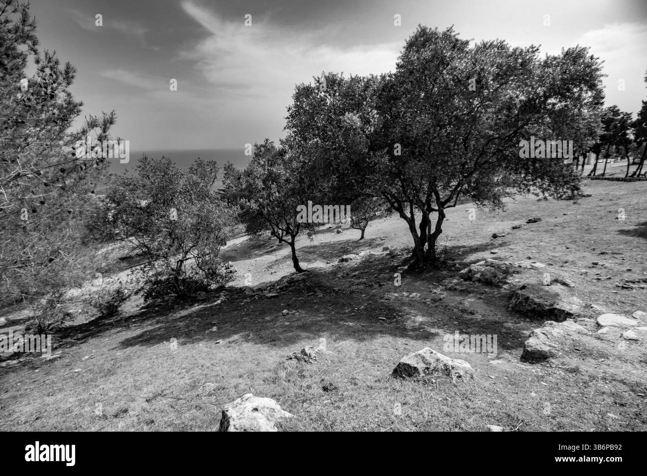 paesaggio Foto Stock