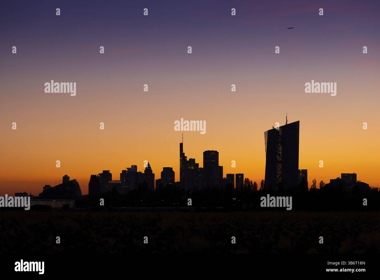 La sagoma dello skyline bancario di Francoforte si distingue contro il cielo notturno luminoso dopo il tramonto, Oberrad, Francoforte sul meno, Assia, Germania, EUR Foto Stock