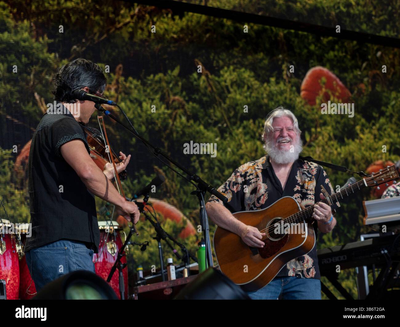 23 settembre 2023, Noblesville, Indiana, USA: Il Vionist MICHAEL KANG si rivolge al chitarrista BILL NERSHI durante l'incidente del formaggio d'archi Ãs fissato al Farm Aid 2023. Questo festival annuale di cibo e musica è stato progettato per sensibilizzare i contadini a conduzione familiare e per mantenere questi agricoltori sulla terra. Dal 1985, Farm Aid ha raccolto più di 70 milioni di dollari per aiutare gli agricoltori a conduzione familiare. (Immagine di credito: © sue Dorfman/ZUMA Press Wire) Foto Stock
