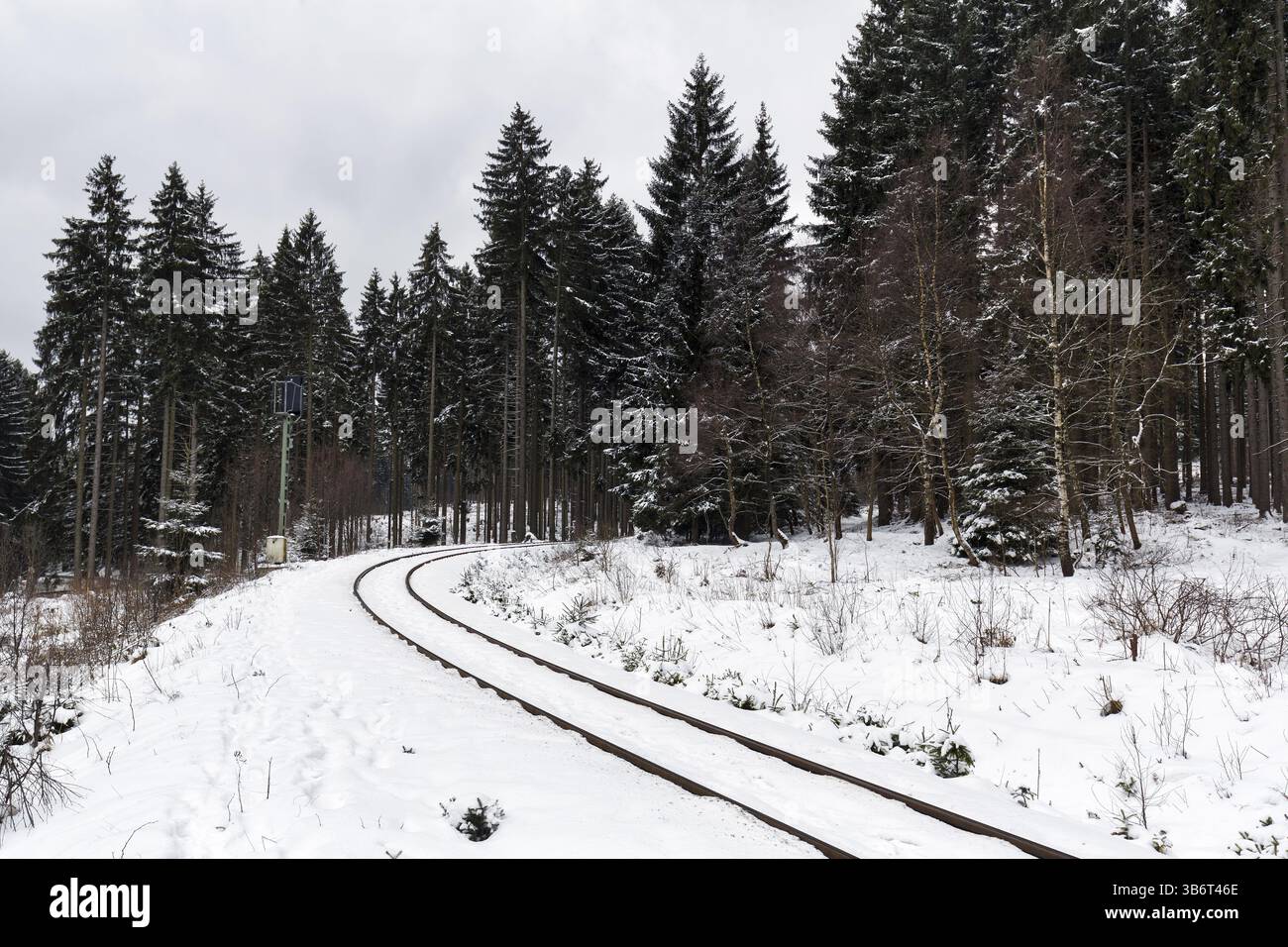 Ferrovia a scartamento ridotto di Harz, Brockenbahn, binario vuoto, binario ferroviario nel paesaggio innevato, foresta di abeti rossi, clima invernale spaventoso, immagine simbolica, Drei An Foto Stock