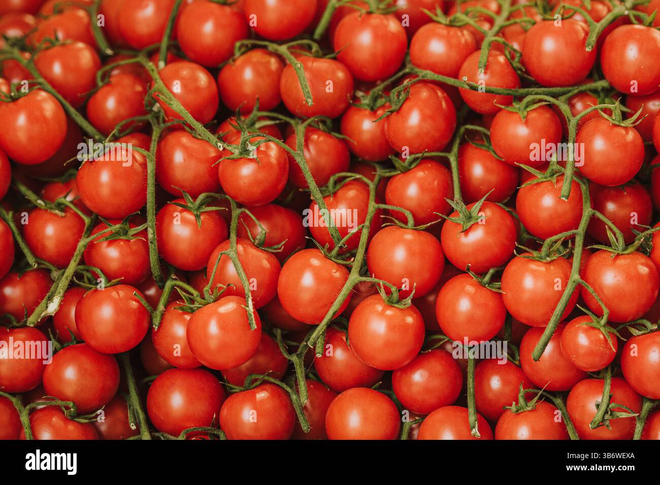 Pomodori ciliegini rossi freschi e maturi in un mercato di Street food, da vicino Foto Stock