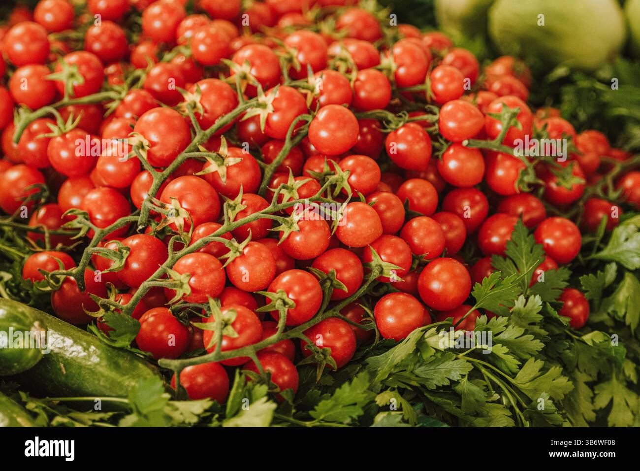 Pomodori ciliegini rossi freschi e maturi in un mercato di Street food, da vicino Foto Stock