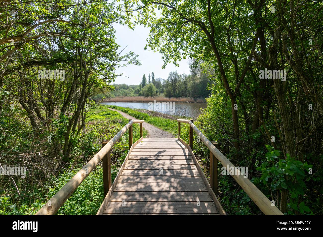 Sentiero lungo il fiume Weaver nel parco naturale Anderton vicino a Northwich, Cheshire, Inghilterra. Foto Stock