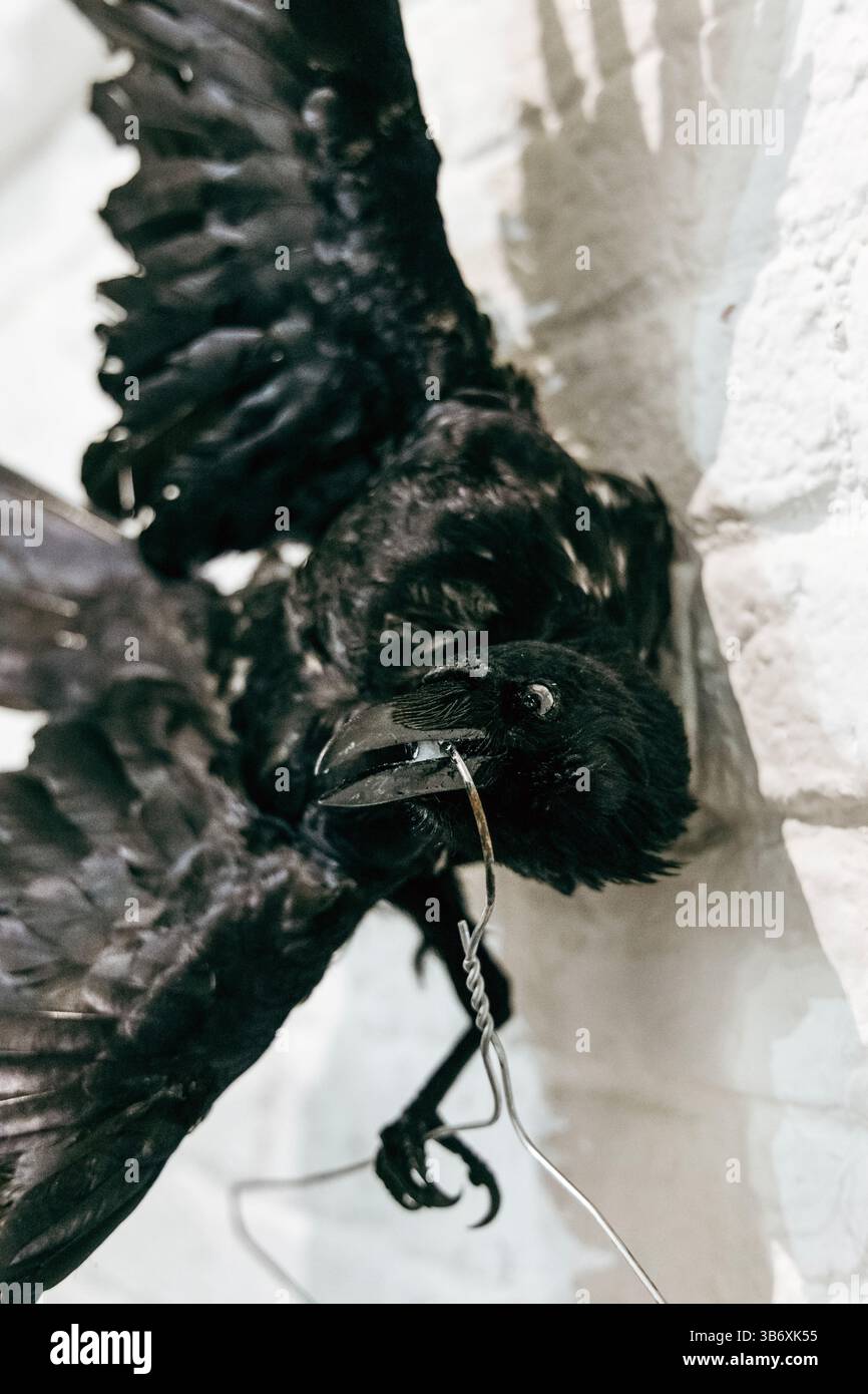 2 maggio 2025 - Taxidermy Crow di Beata Ostrowska, serata di apertura per la mostra collettiva d'arte surrealista l'Age D'Or, Hoxton Arches, Londra, Inghilterra Foto Stock
