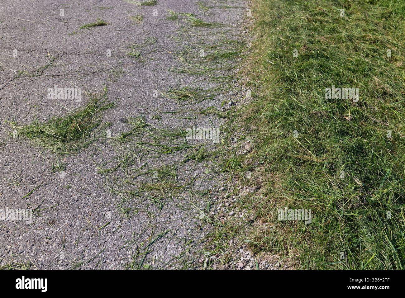 il bordo e la spalla della strada sono in erba verde, erba verde non rimossa dalla strada dopo aver tagliato l'erba in estate Foto Stock