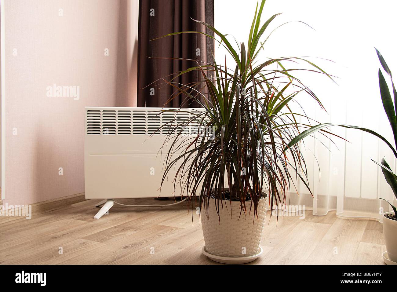 Interni moderni con convettore elettrico e palma in pentola, riscaldamento a pavimento, casa calda in inverno Foto Stock