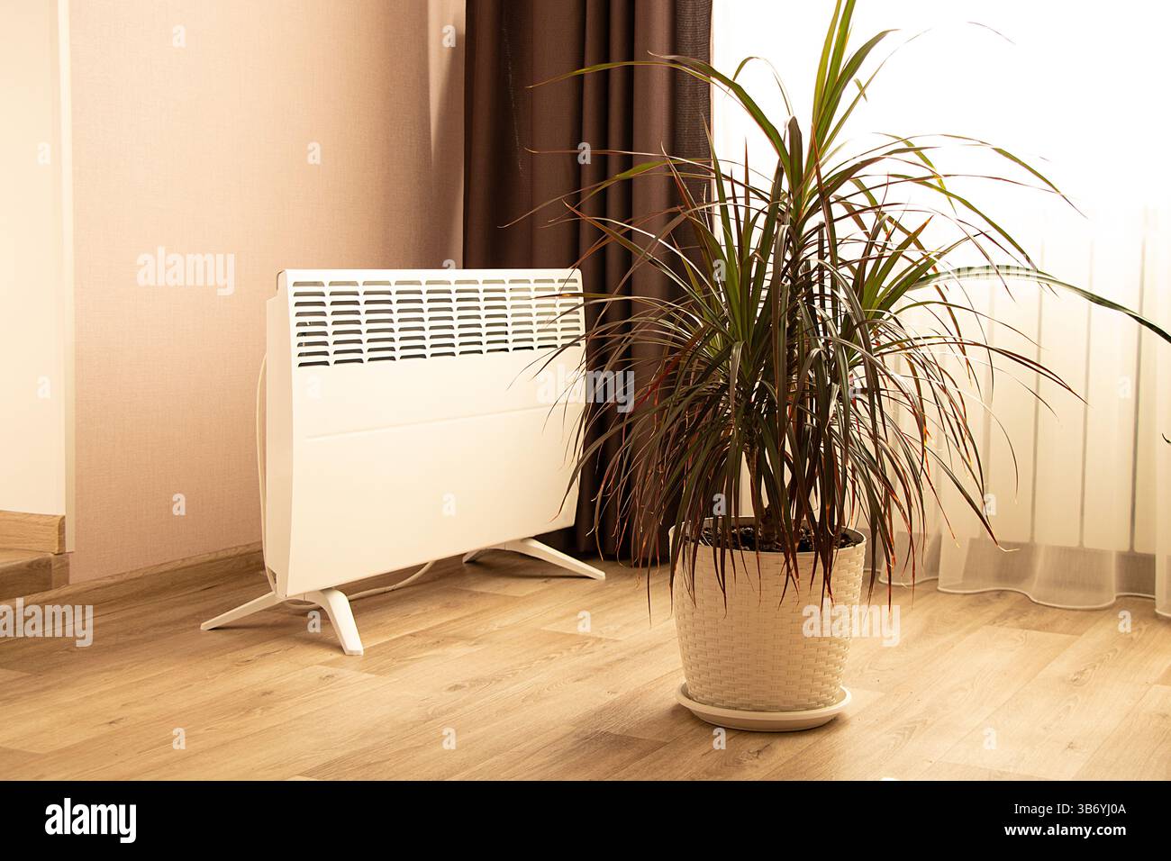 Interni moderni con convettore elettrico e palma in pentola, riscaldamento a pavimento, casa calda in inverno Foto Stock