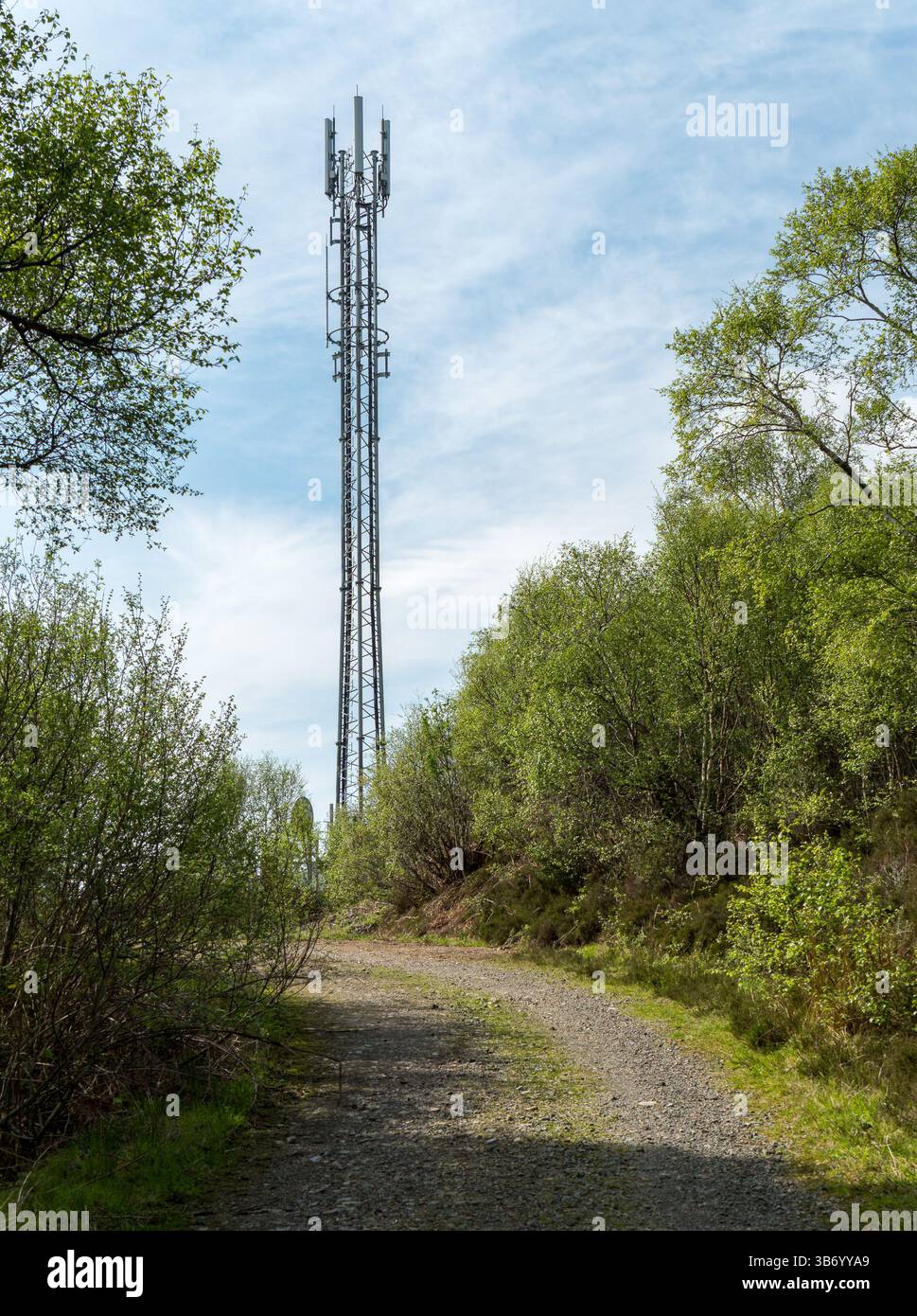 Nuovo albero/torre di comunicazione mobile 4G a Kinloch / foresta di Leitir Fura, Sleat, Isola di Skye, Scozia, Regno Unito Foto Stock
