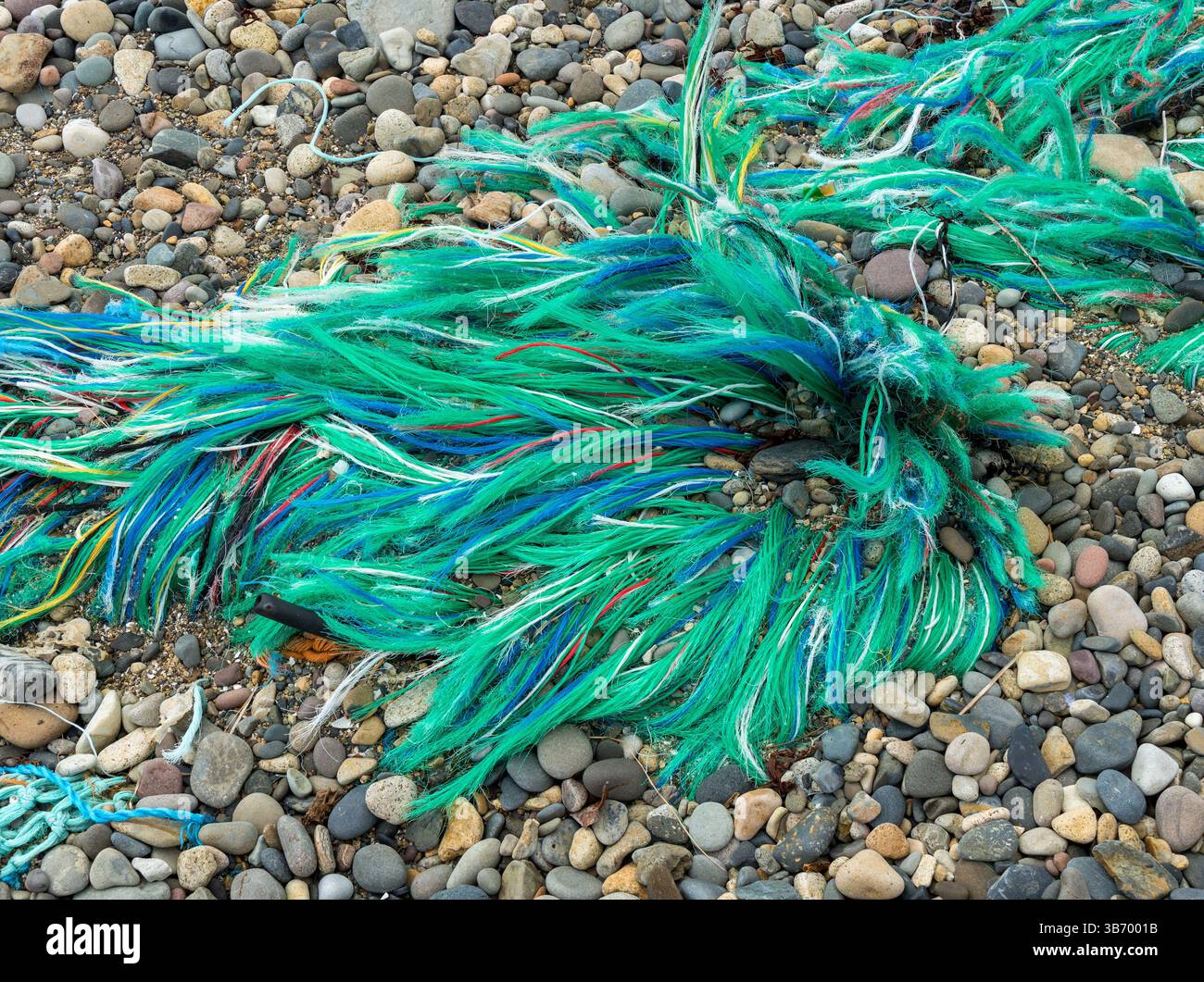 Inquinamento marino in plastica - colorata corda di nylon sfilacciata incastonata nel testiere sulla spiaggia scozzese, Regno Unito Foto Stock