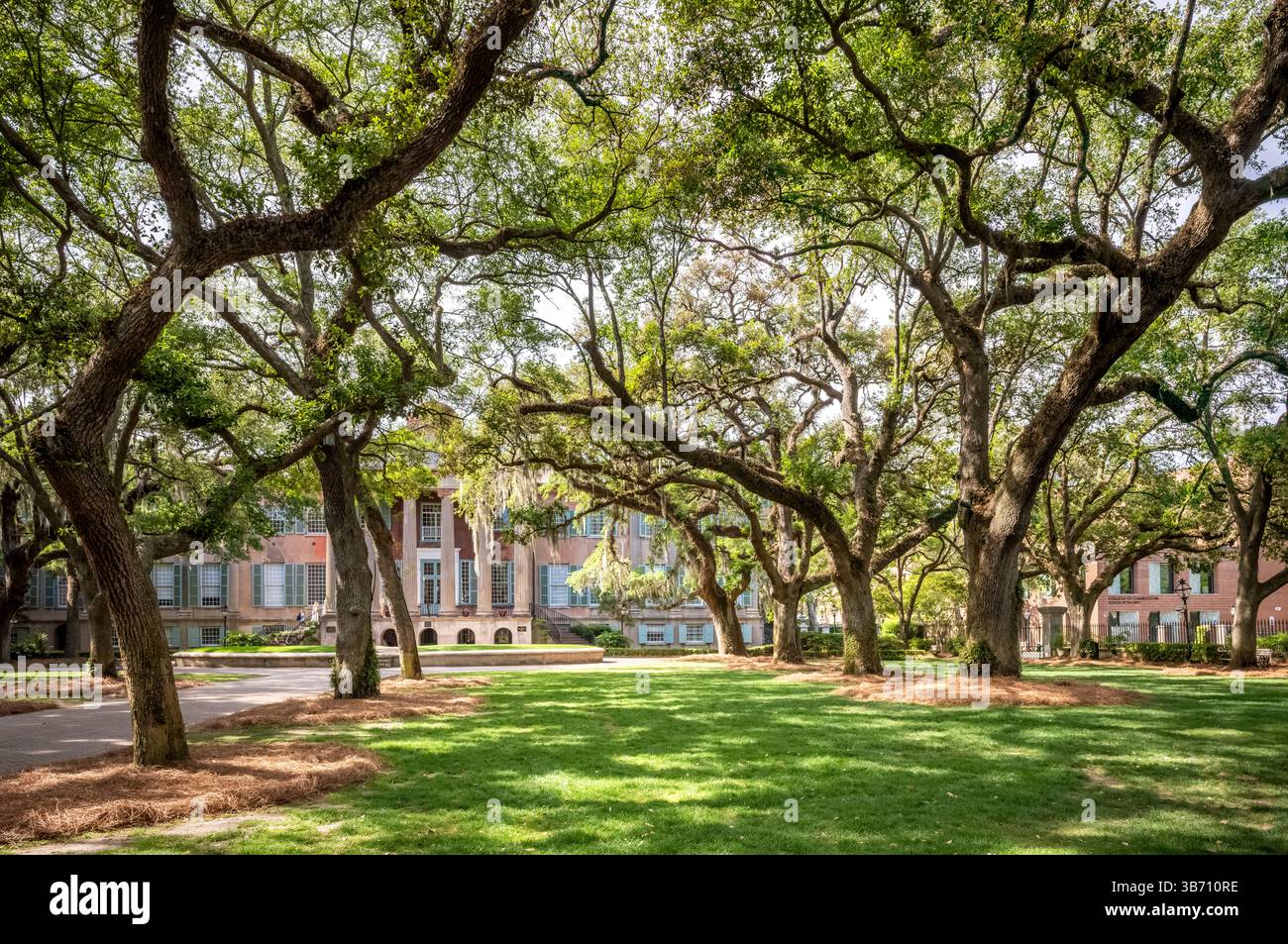COLLEGE OF CHARLESTON (1770) CHARLESTON SOUTH CAROLINA USA Foto Stock