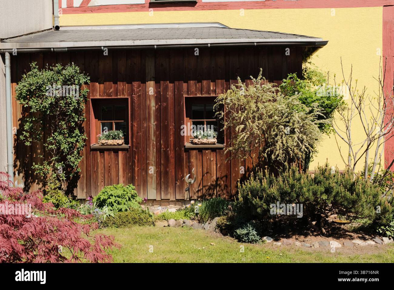 giardino rustico in legno con piante rampicanti e vegetazione verde sul retro contro le pareti gialle della casa nelle giornate di sole. Foto di alta qualità Foto Stock