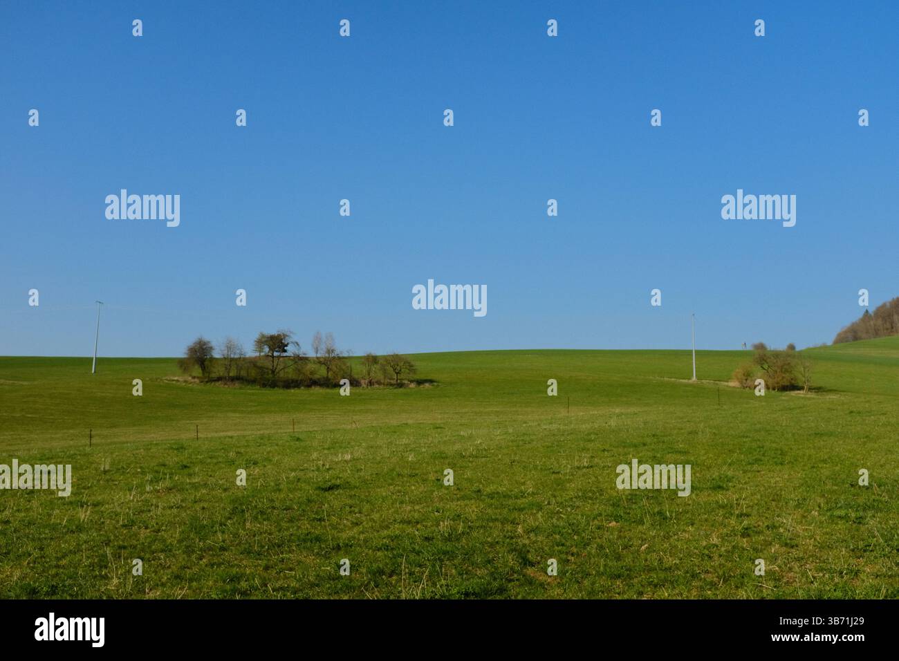 ampio campo verde aperto di campagna sotto un cielo azzurro e limpido con alberi lontani e colline ondulate in un tranquillo paesaggio rurale. Foto di alta qualità Foto Stock