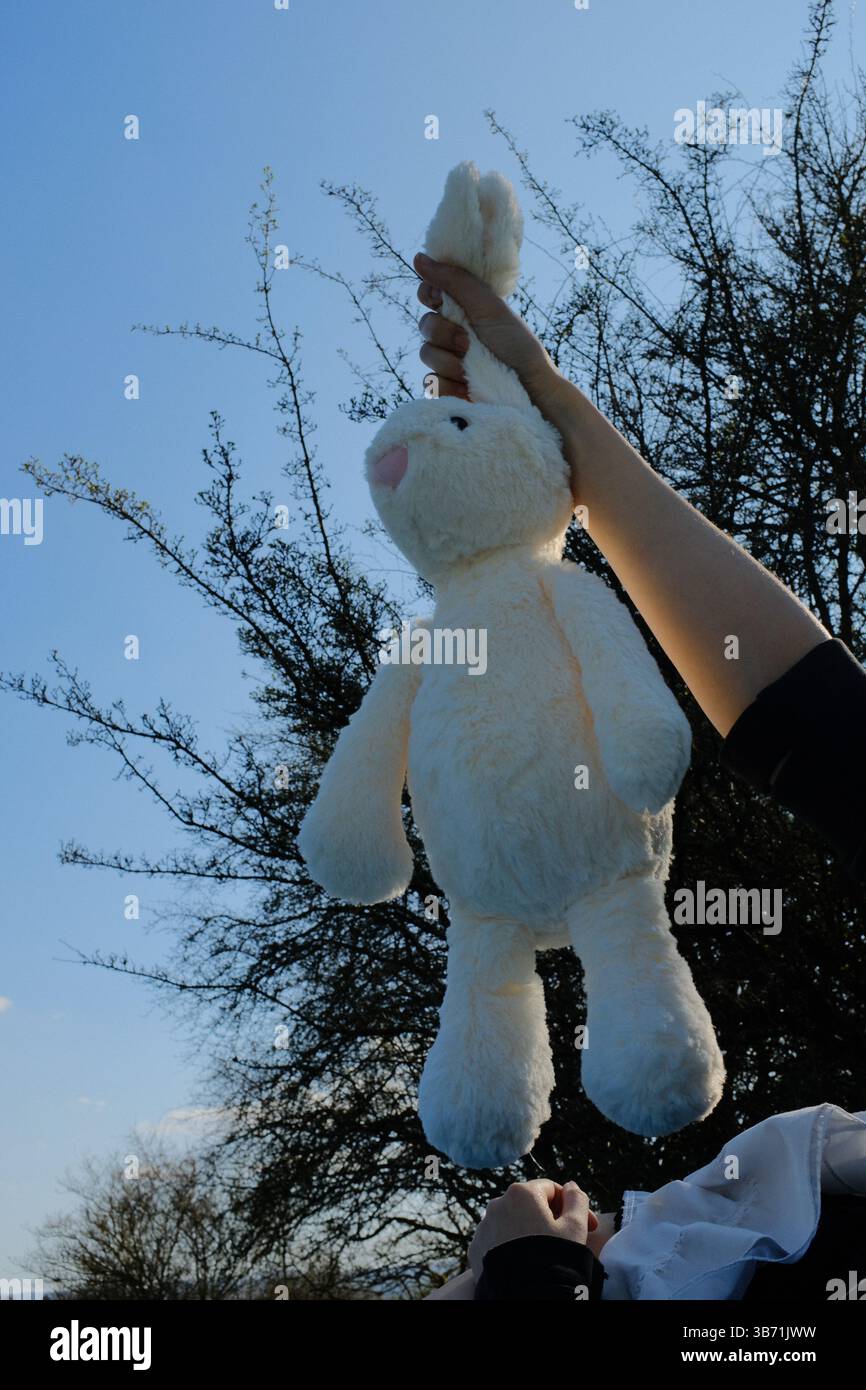 simpatico peluche bianco, tenuto in mano sullo sfondo blu del cielo in un ambiente esterno primaverile. Foto di alta qualità Foto Stock
