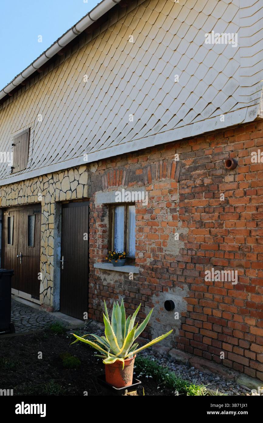 giardino del villaggio europeo decorato con statue bianche del coniglio pasquale e vegetazione primaverile sotto il cielo limpido. Foto di alta qualità Foto Stock