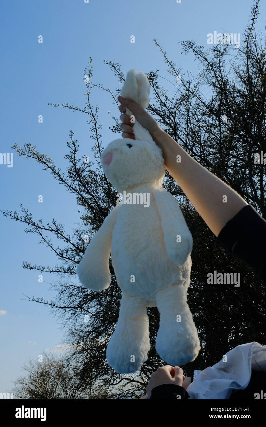 simpatico peluche bianco, tenuto in mano sullo sfondo blu del cielo in un ambiente esterno primaverile. Foto di alta qualità Foto Stock