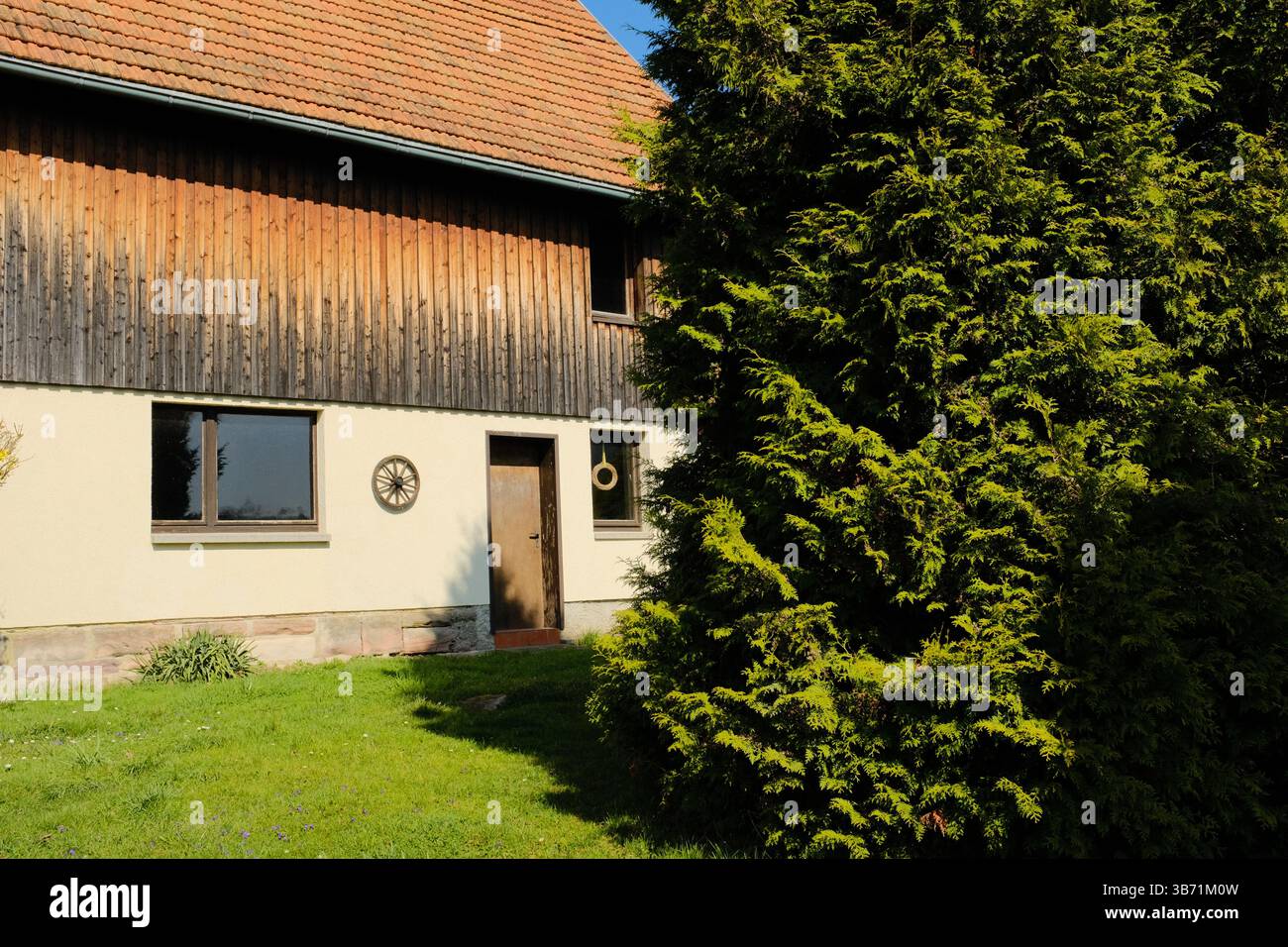 giardino del villaggio europeo decorato con statue bianche del coniglio pasquale e vegetazione primaverile sotto il cielo limpido. Foto di alta qualità Foto Stock