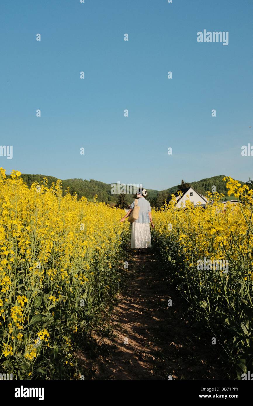 donna in abito estivo bianco e cappello di paglia che cammina attraverso il campo di fiori di colza gialli sotto il cielo azzurro e limpido in campagna. Foto di alta qualità Foto Stock