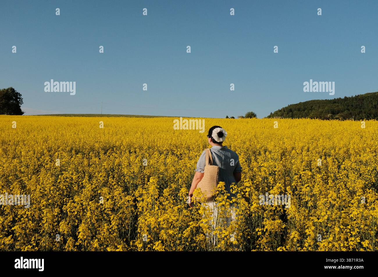 donna in abito estivo bianco e cappello di paglia che cammina attraverso il campo di fiori di colza gialli sotto il cielo azzurro e limpido in campagna. Foto di alta qualità Foto Stock