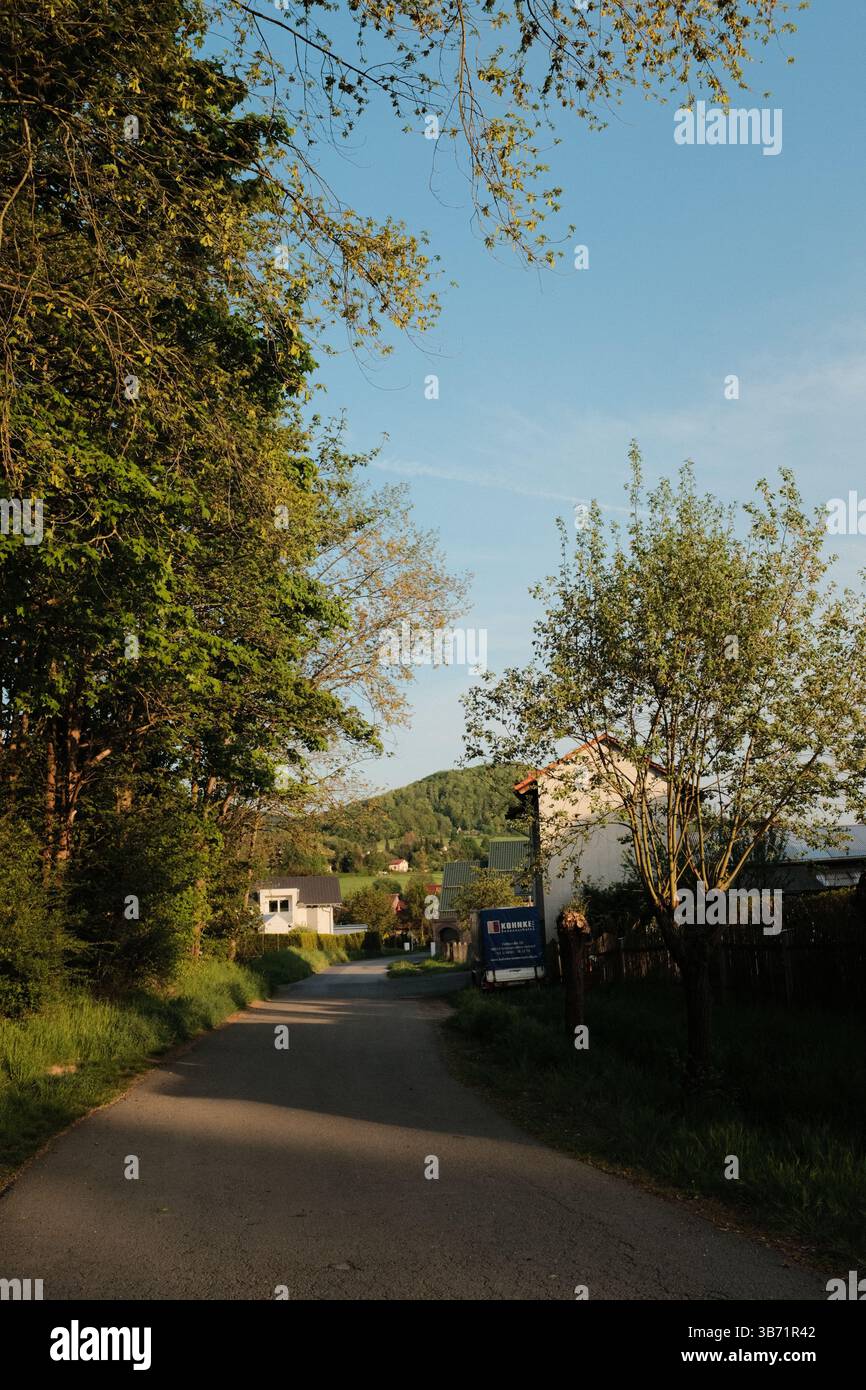 strada di campagna rurale con case campi verdi e alberi sotto il cielo blu in un tranquillo paesaggio paesaggistico all'ora d'oro. Foto di alta qualità Foto Stock