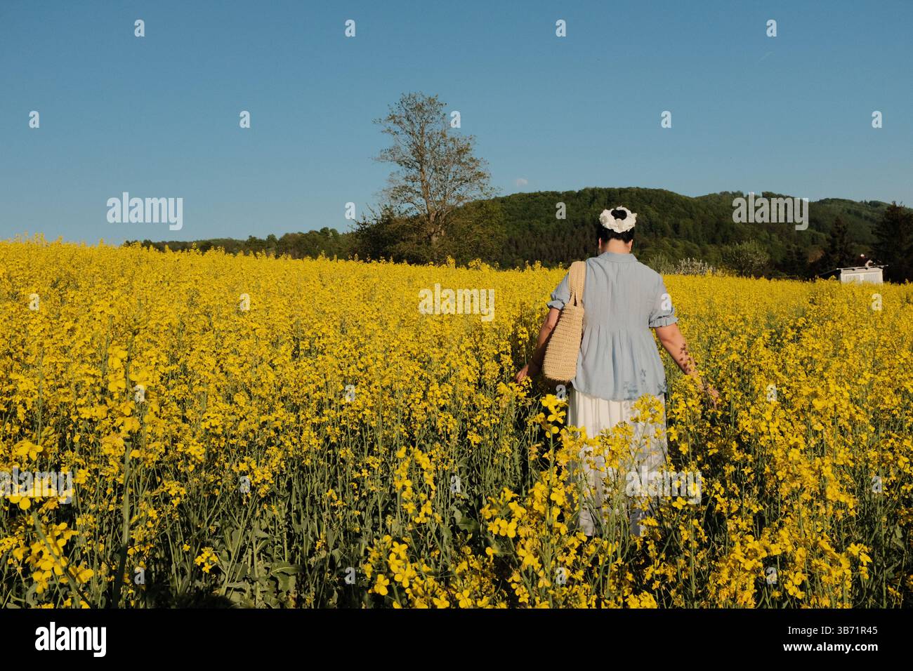 donna in abito estivo bianco e cappello di paglia che cammina attraverso il campo di fiori di colza gialli sotto il cielo azzurro e limpido in campagna. Foto di alta qualità Foto Stock