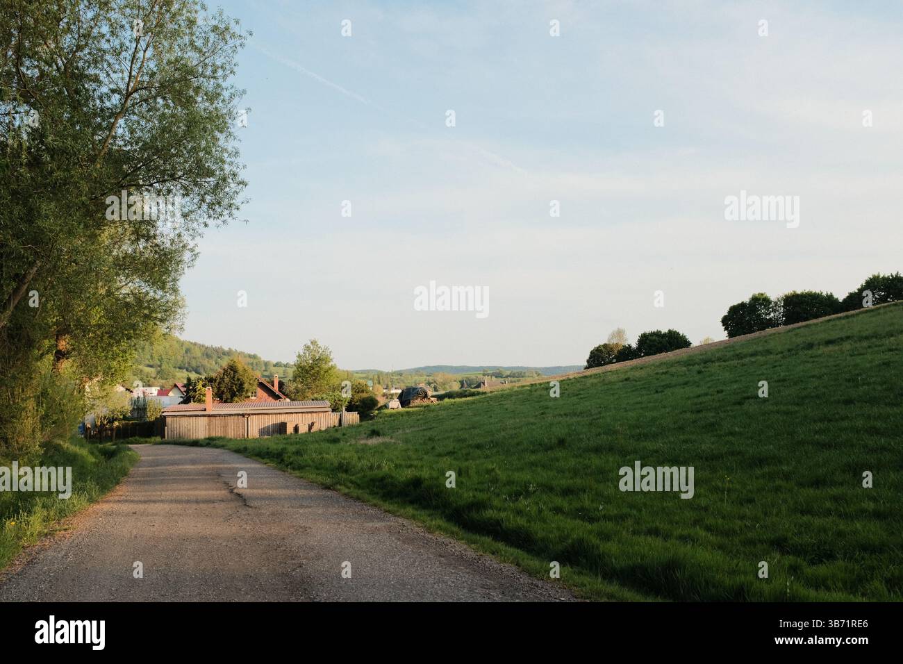 strada di campagna rurale con case campi verdi e alberi sotto il cielo blu in un tranquillo paesaggio paesaggistico all'ora d'oro. Foto di alta qualità Foto Stock