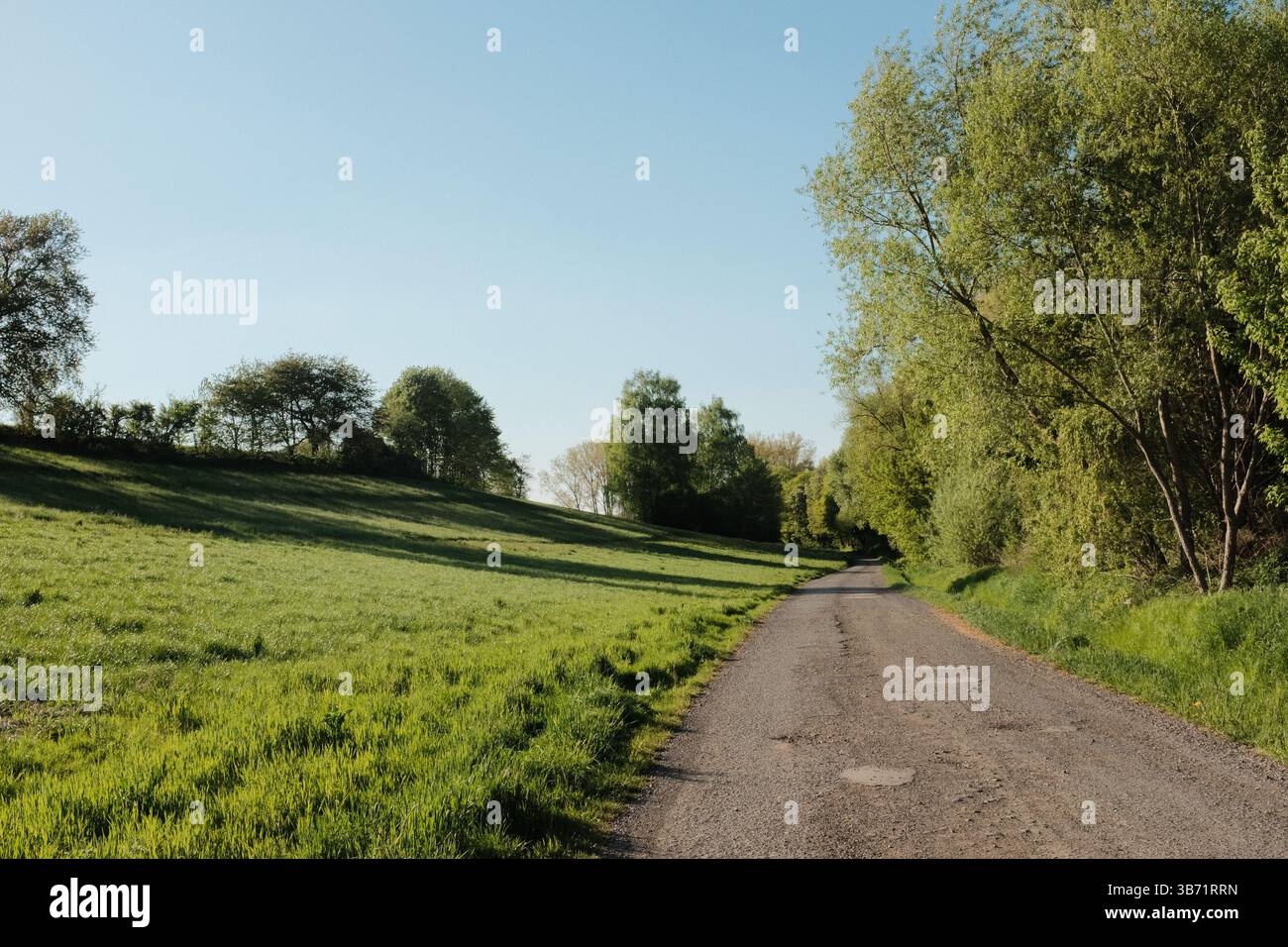 strada di campagna rurale con case campi verdi e alberi sotto il cielo blu in un tranquillo paesaggio paesaggistico all'ora d'oro. Foto di alta qualità Foto Stock