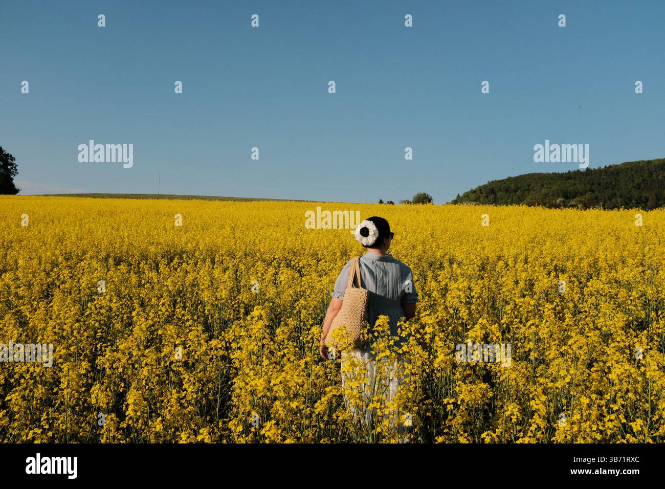 donna in abito estivo bianco e cappello di paglia che cammina attraverso il campo di fiori di colza gialli sotto il cielo azzurro e limpido in campagna. Foto di alta qualità Foto Stock