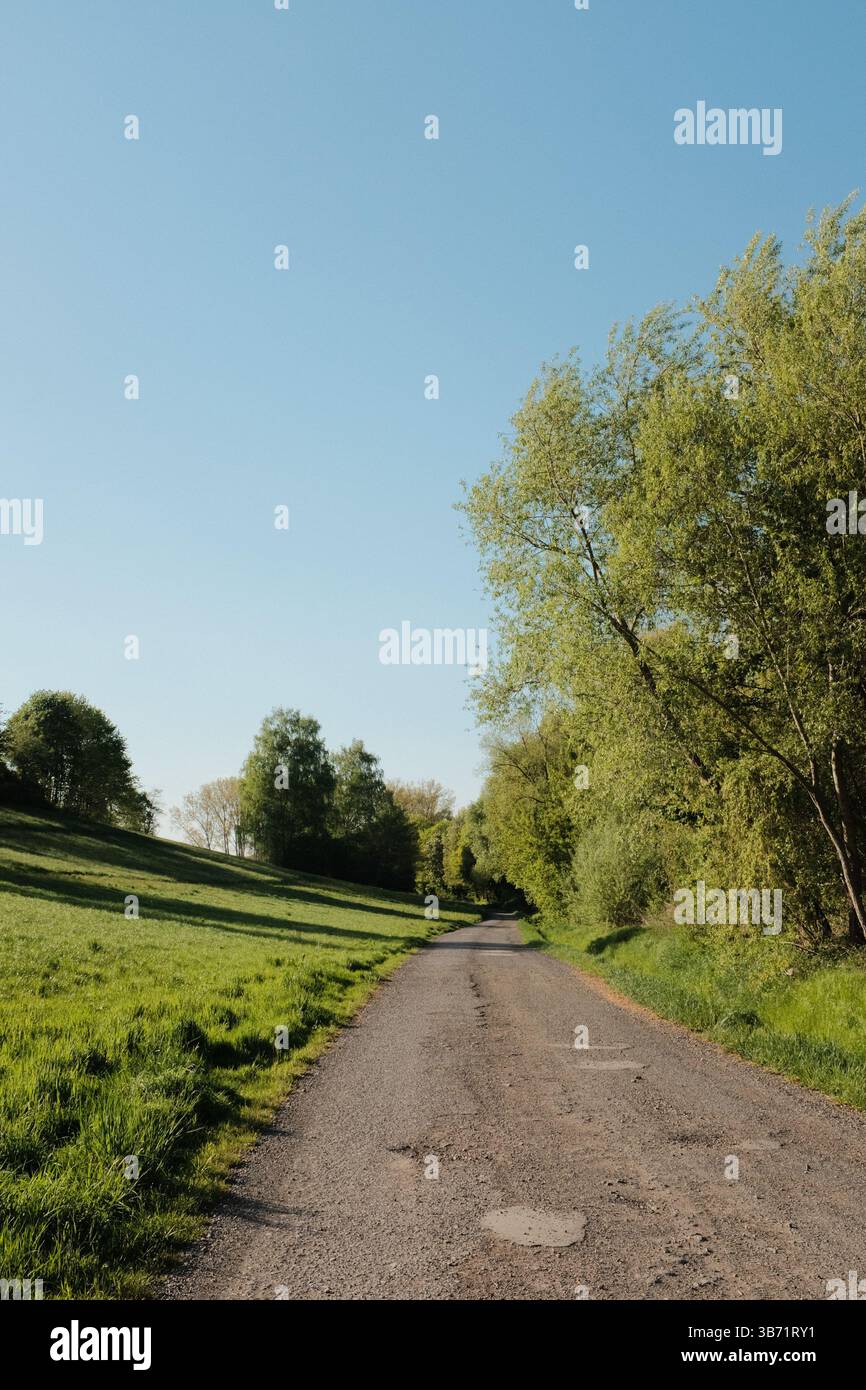 strada di campagna rurale con case campi verdi e alberi sotto il cielo blu in un tranquillo paesaggio paesaggistico all'ora d'oro. Foto di alta qualità Foto Stock