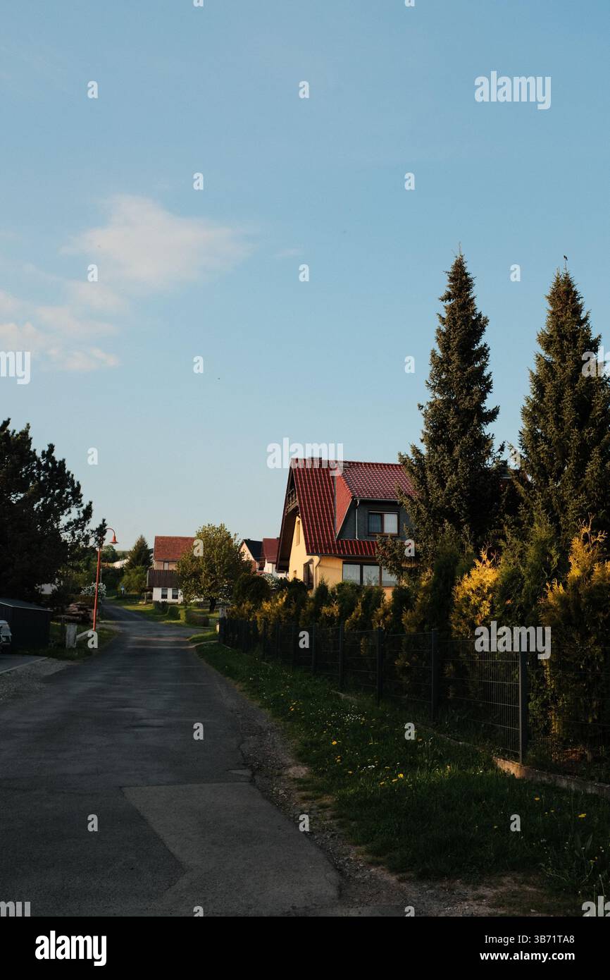 strada di campagna rurale con case campi verdi e alberi sotto il cielo blu in un tranquillo paesaggio paesaggistico all'ora d'oro. Foto di alta qualità Foto Stock