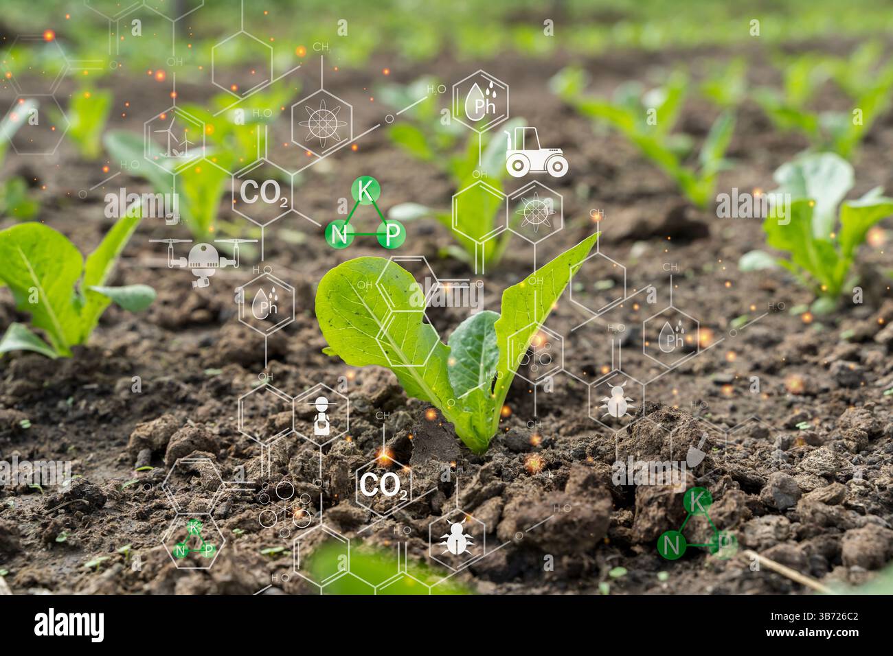 Semina in campo agricolo coltivato con concetto grafico tecnologia agricola moderna, azienda agricola digitale, innovazione agricola intelligente, IOT. Crescendo yo Foto Stock