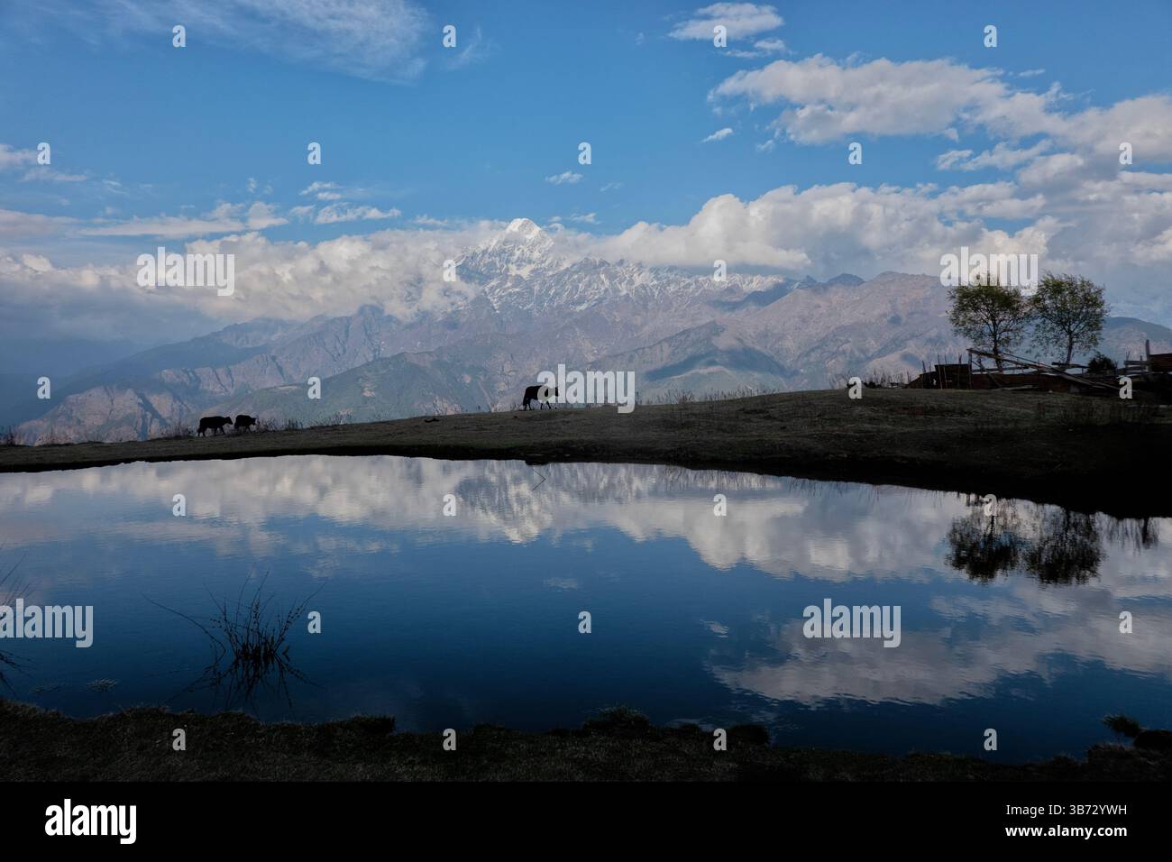 Langtang Lirung riflesso dal Tamang Heritage Trail, Nagthali, Nepal Foto Stock