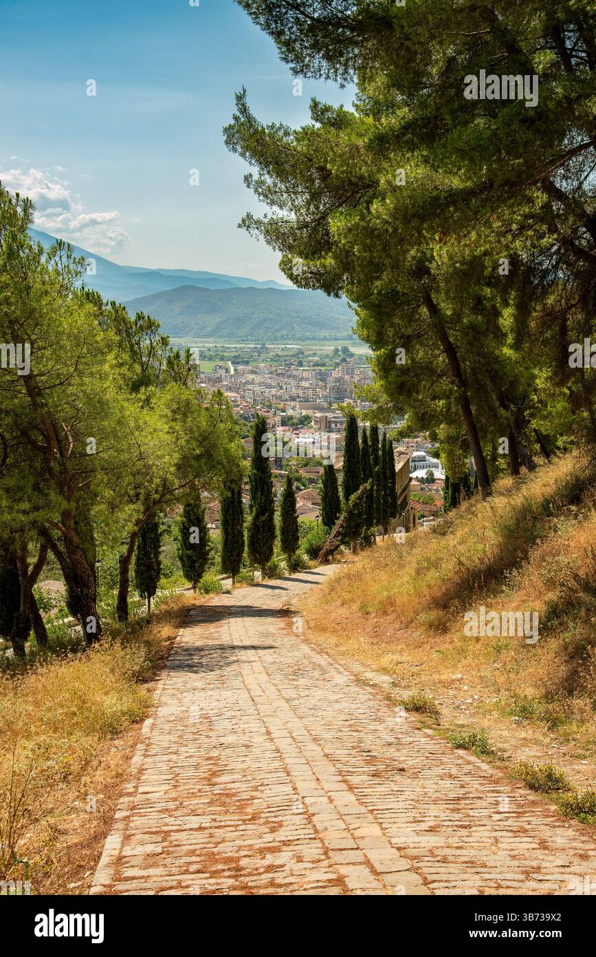 Rruga e Kalasë (strada del castello), illuminata dal sole, che si snoda tra pinete e sentinelle di cipressi verso i tetti di Berat sotto un cielo limpido Foto Stock