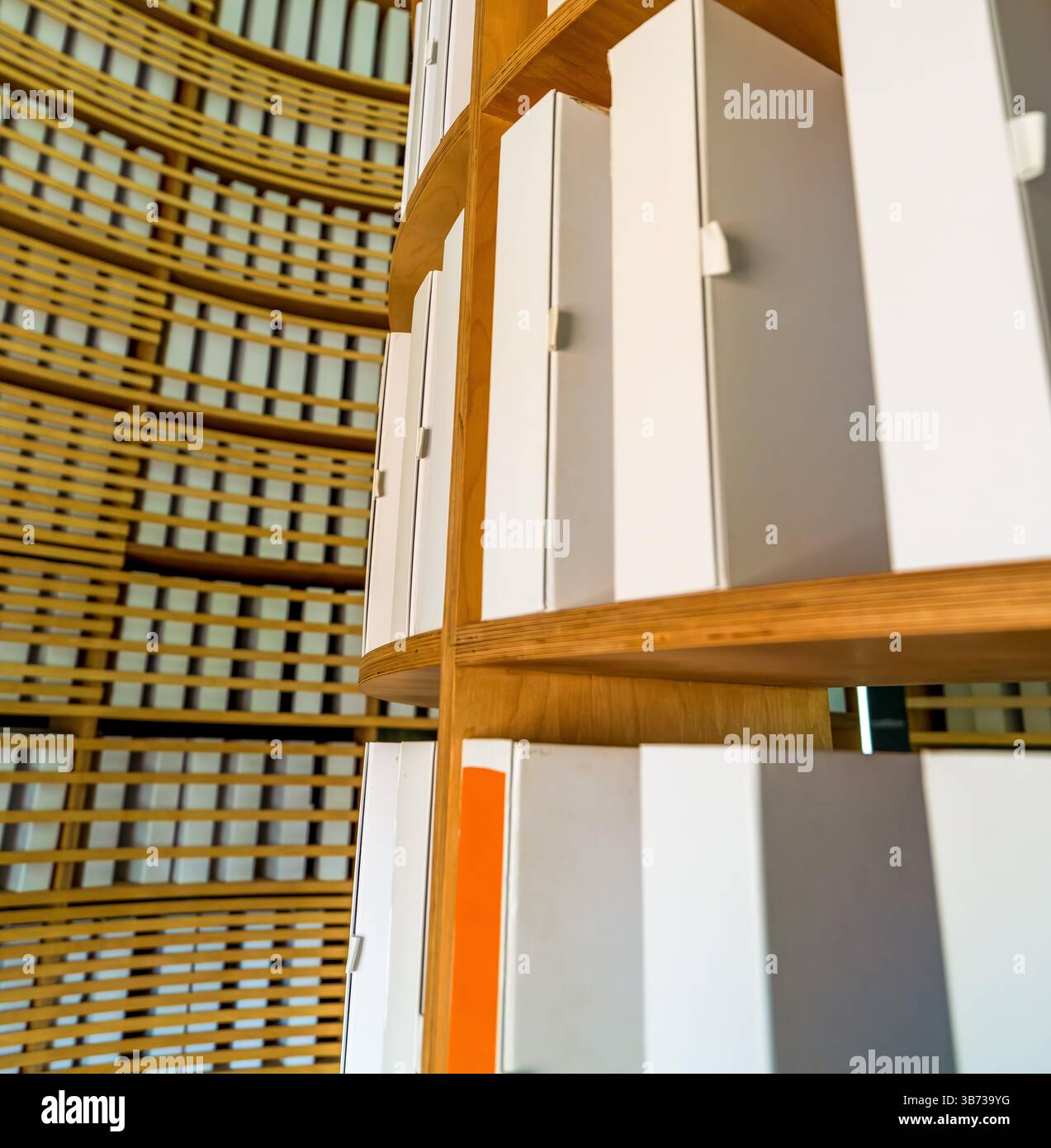 Primo piano di leganti di archivio bianchi allineati in modo ordinato su ripiani circolari in legno compensato di betulla su uno sfondo ricurvo con spranghe di legno Foto Stock