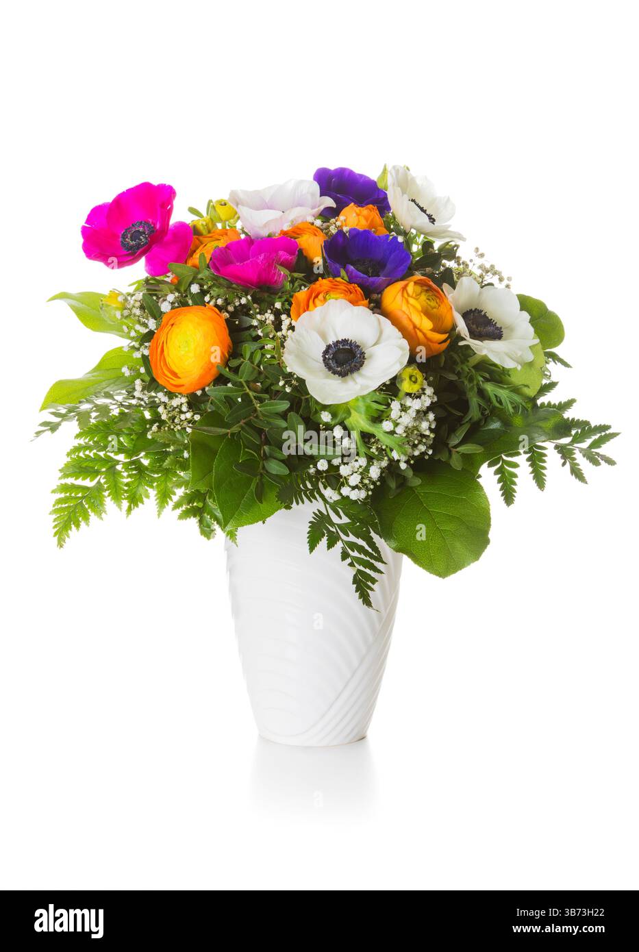 Un bouquet primaverile colorato con tazze di farfalla persiane e anemoni papavero in vaso isolato su sfondo bianco Foto Stock