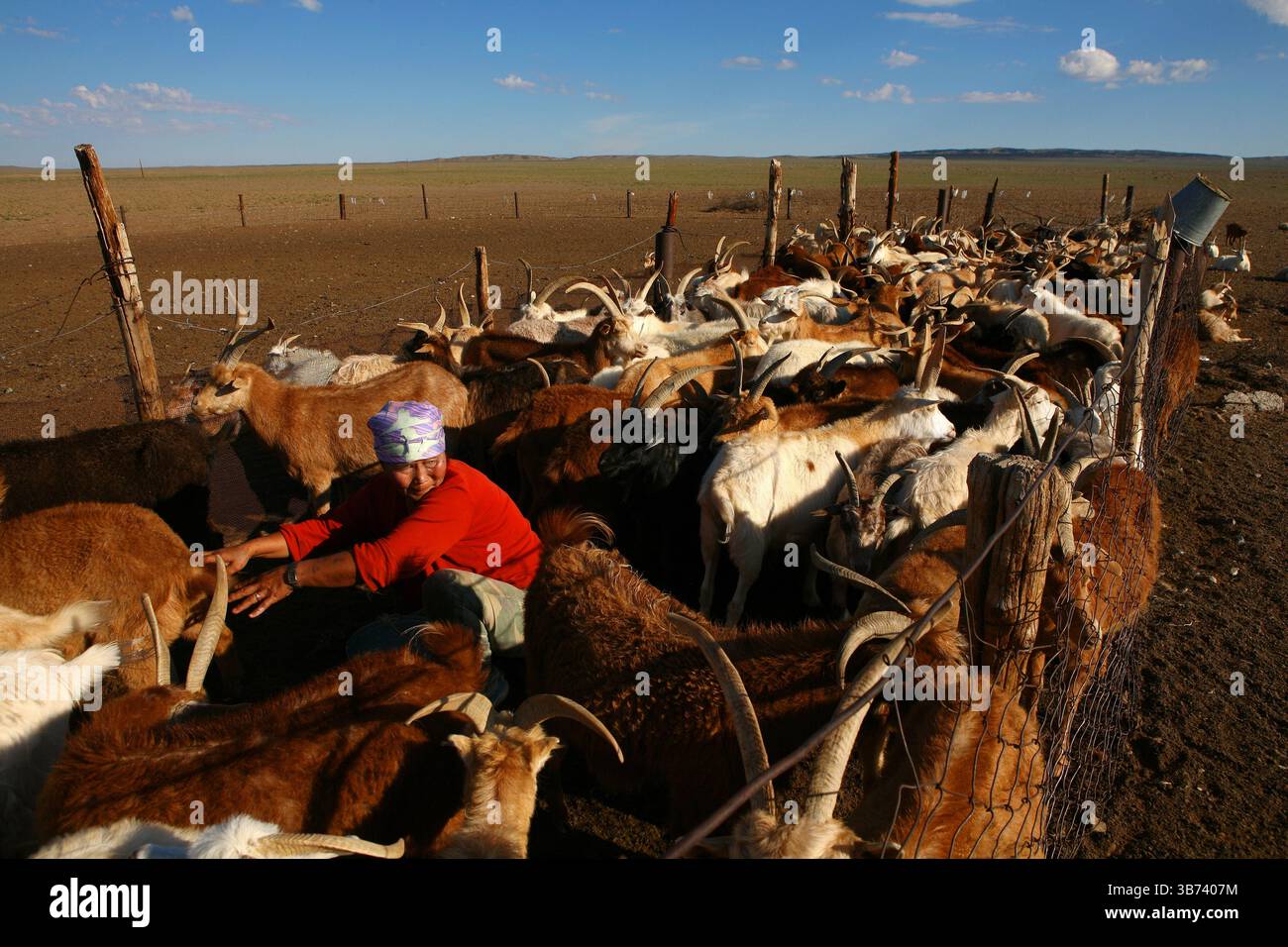 Dune di sabbia nel deserto del Gobi Foto Stock