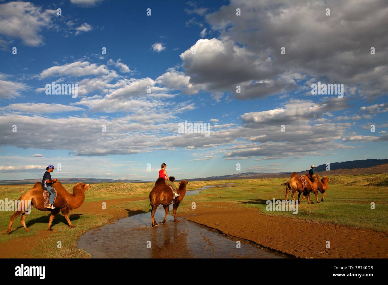 Dune di sabbia nel Gobi DesertCammello battriano (Camelus ferus bactrianus) Foto Stock