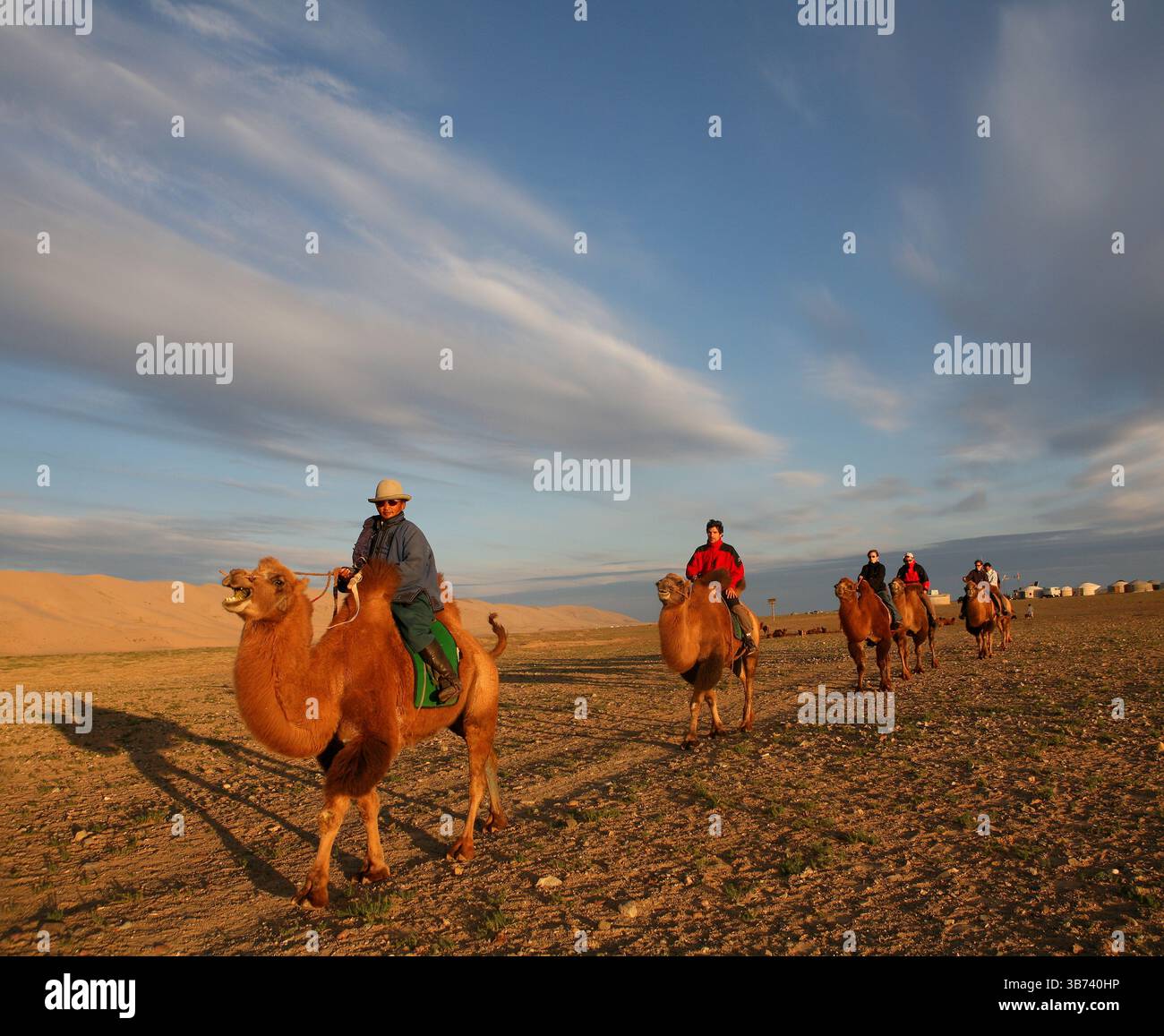 Dune di sabbia nel Gobi DesertCammello battriano (Camelus ferus bactrianus) Foto Stock