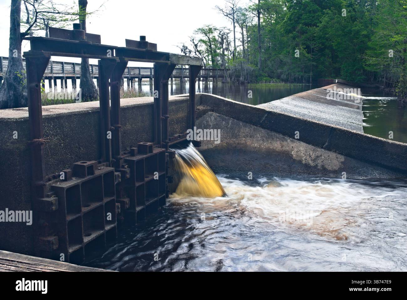 L'acqua che scorre dalla diga e dalla sponda del lago Waccamaw. Foto Stock