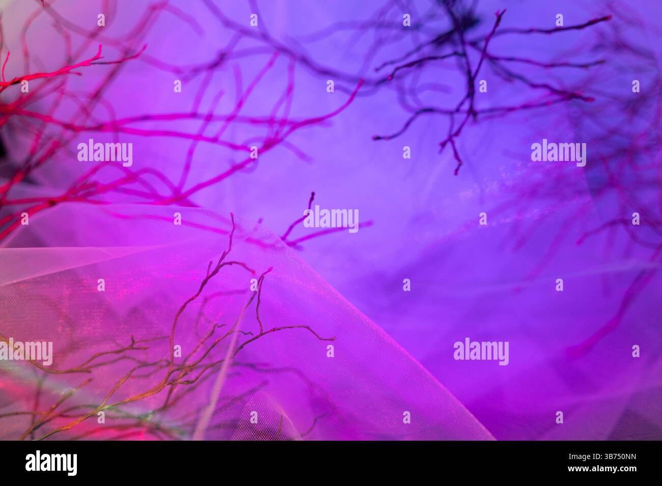 Si tratta di un'immagine ravvicinata che mostra un vivace tessuto viola e rosa, splendidamente contrastato con alcuni rami naturali sullo sfondo Foto Stock