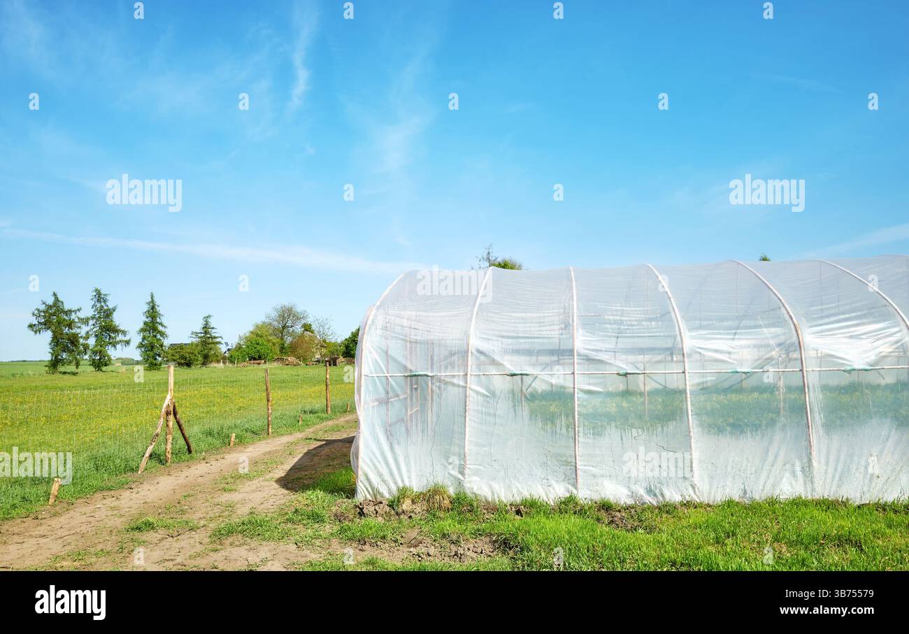 Polytunnel in una fattoria biologica contro il cielo blu. Foto Stock