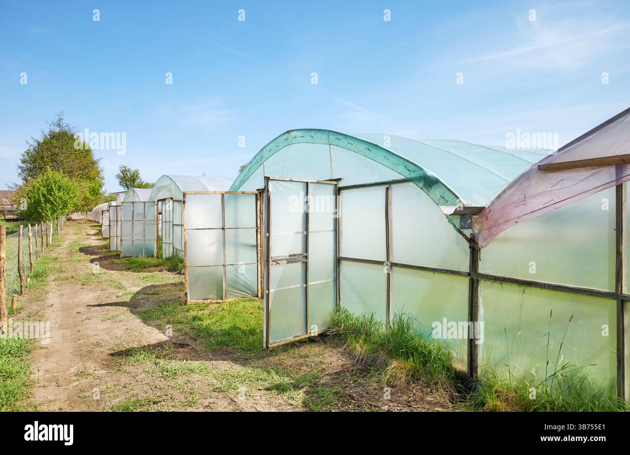 Polytunnels in una fattoria biologica contro il cielo blu. Foto Stock