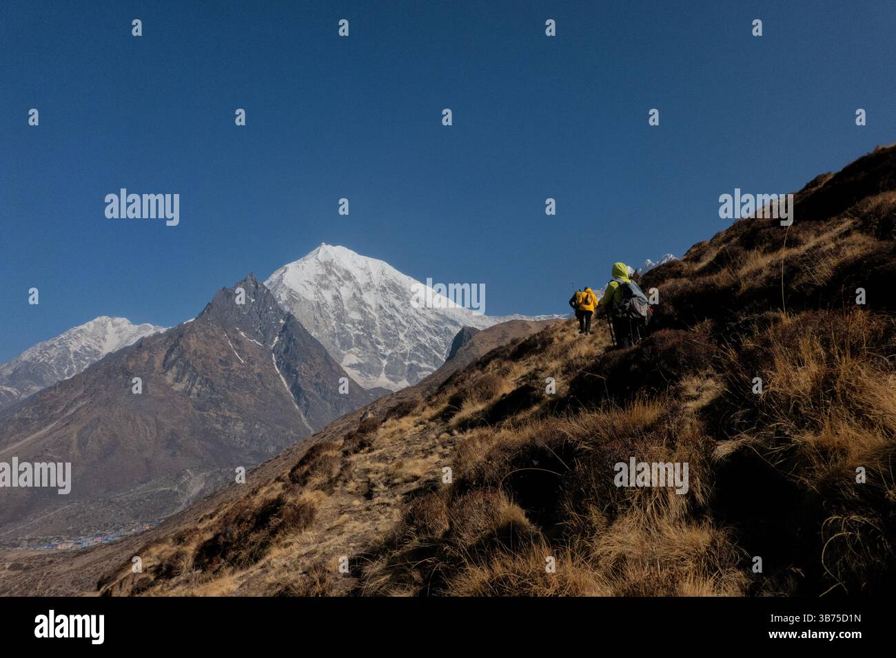 Salendo fino alla cima di Tsergo Ri, Langtang National Park, Kyanjin Gompa, Nepal Foto Stock