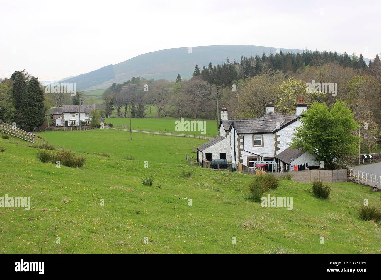 Dunsop Valley alla periferia di Dunsop Bridge, Trough of Bowland, Lancashire, Regno Unito Foto Stock