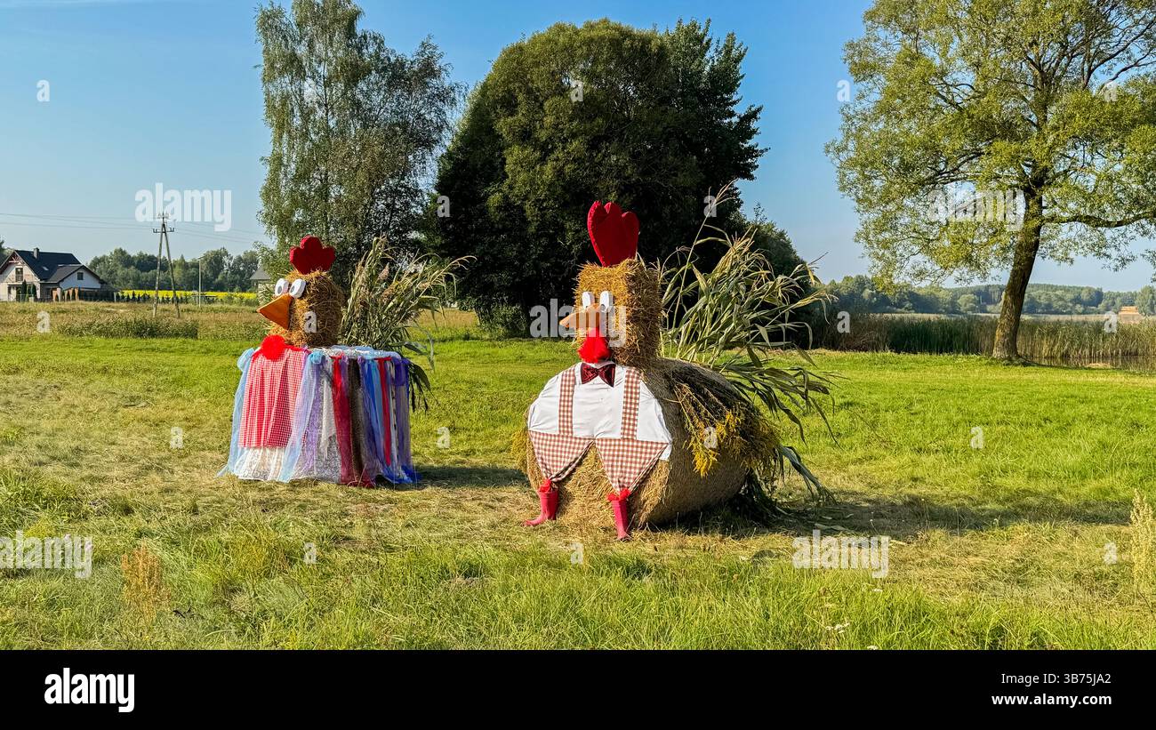 Creativi balle di fieno con figure di pollo in un campo rurale con costumi colorati e cielo azzurro limpido in una giornata di sole con verdi paesaggi erbosi. Foto Stock